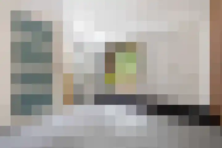 Boeimeerhof 46 Breda thumbnail 6