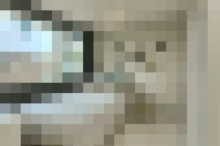 Boeimeerhof 58 Breda thumbnail 47
