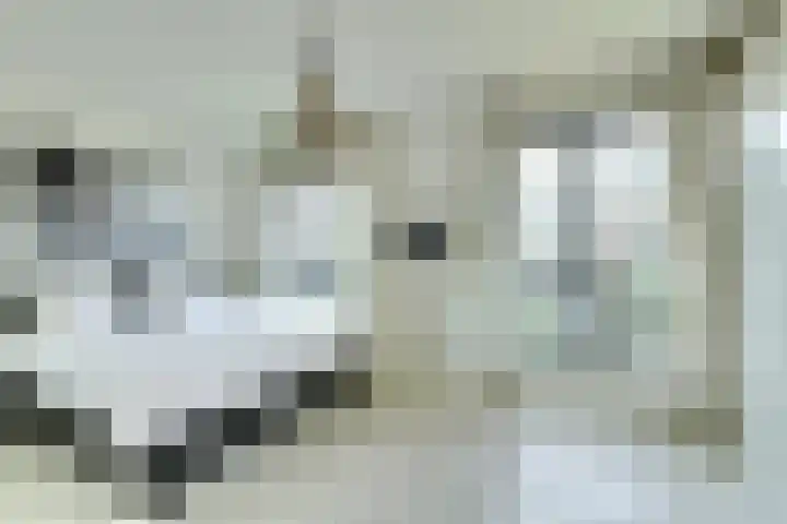 Boeimeerhof 58 Breda thumbnail 5
