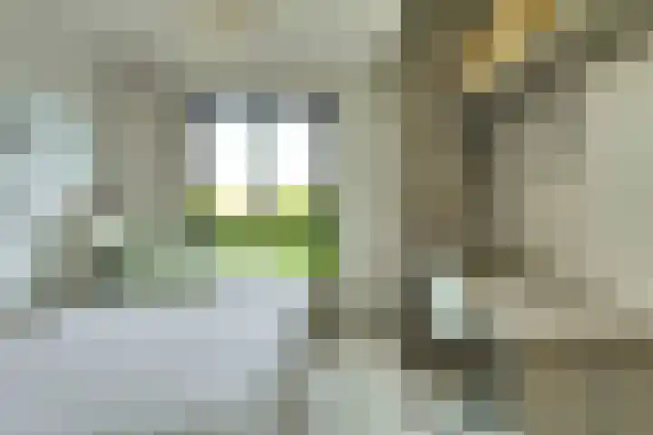 Boeimeerhof 58 Breda thumbnail 53