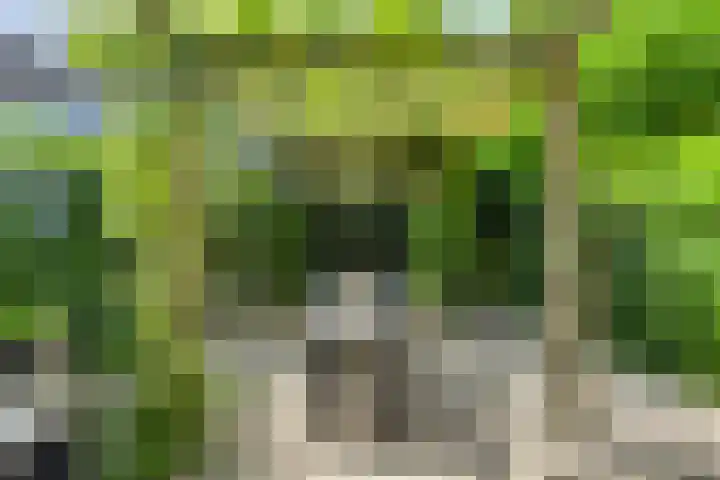 Boeimeerhof 58 Breda thumbnail 60