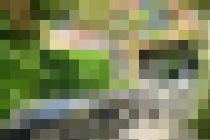 Boeimeerhof 58 Breda thumbnail 62