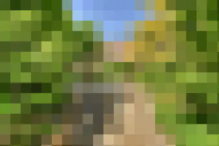 Boeimeerhof 58 Breda thumbnail 66
