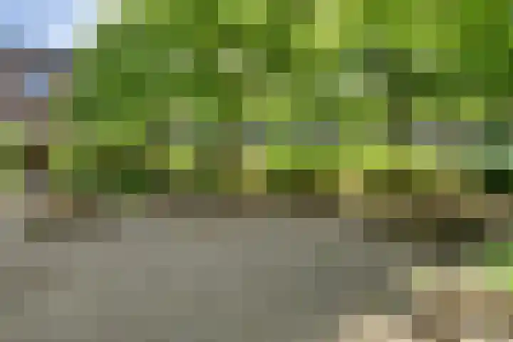 Boeimeerhof 58 Breda thumbnail 67