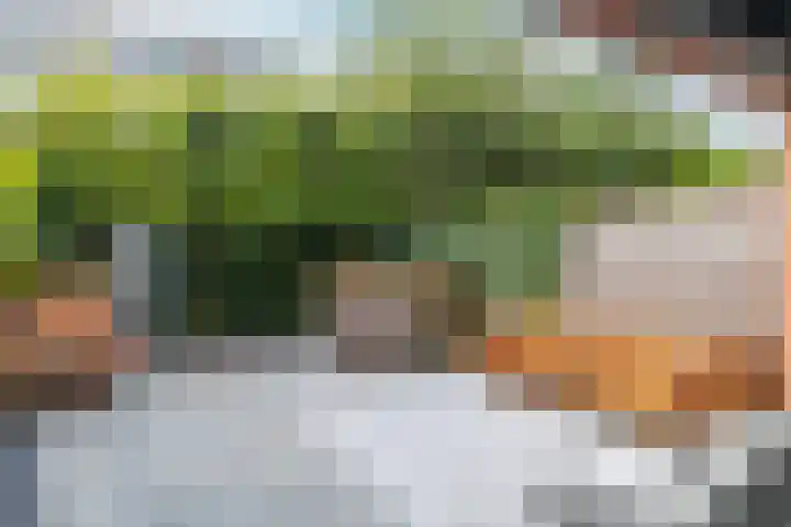 Boeimeerhof 59 Breda thumbnail 19