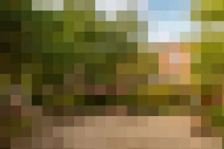 Boeimeerhof 59 Breda thumbnail 52