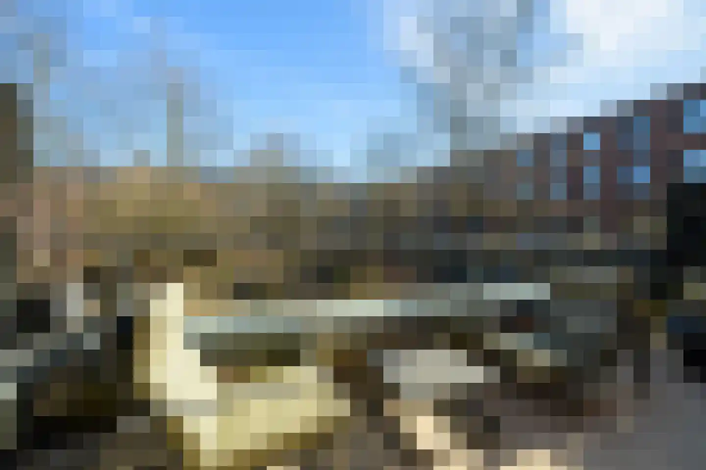 Boeimeerhof 74 Breda thumbnail 15