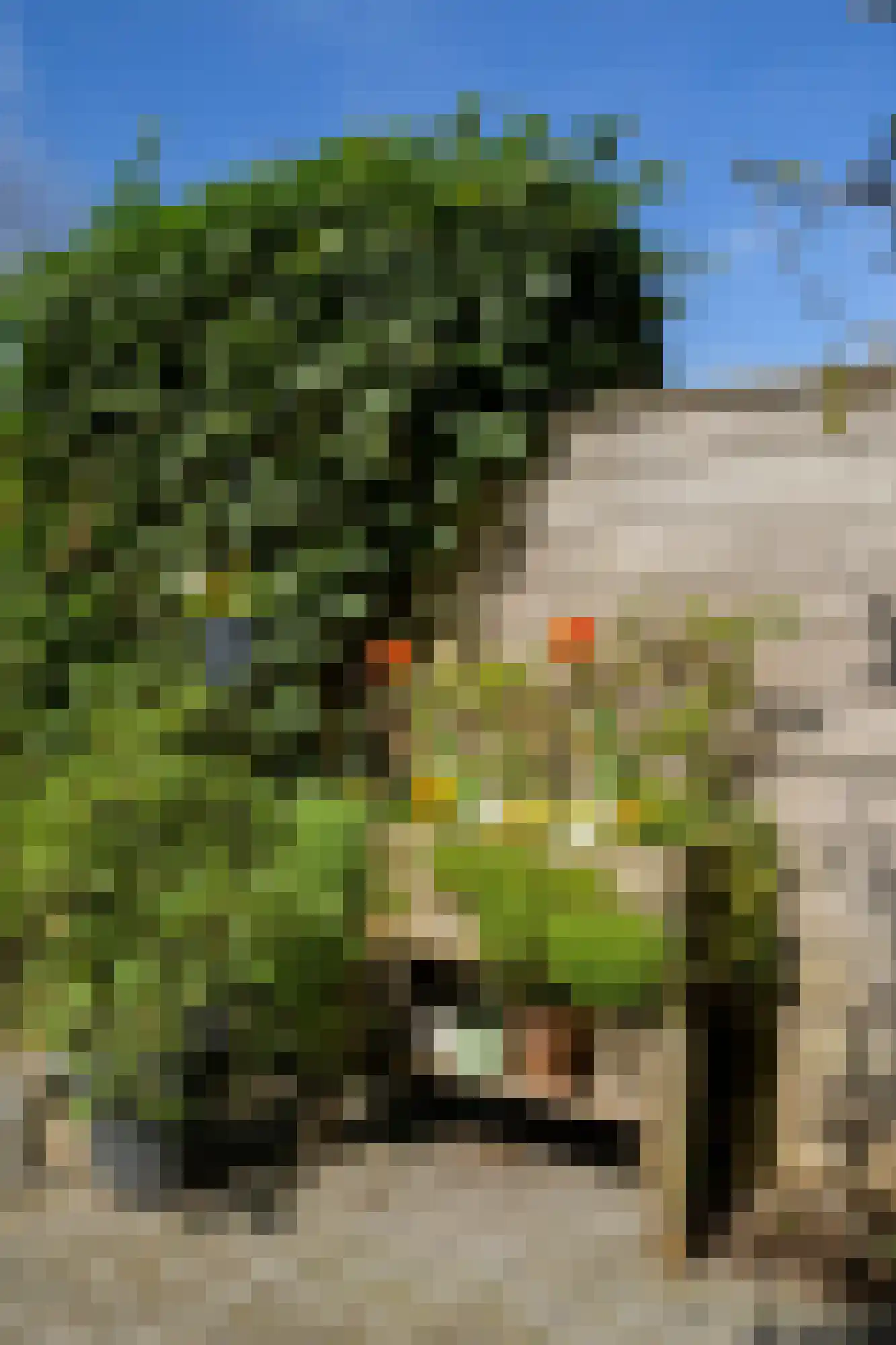Boeimeerhof 74 Breda thumbnail 31
