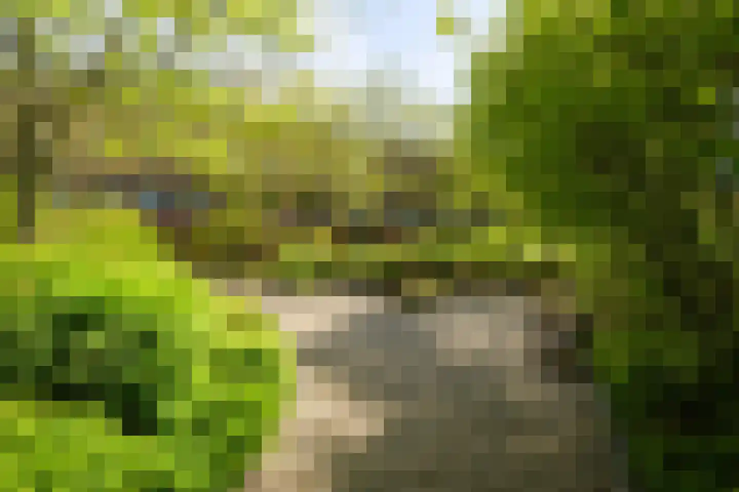 Boeimeerhof 74 Breda thumbnail 40