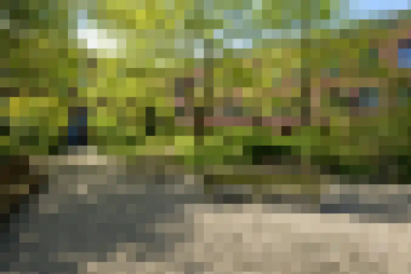 Boeimeerhof 74 Breda thumbnail 6