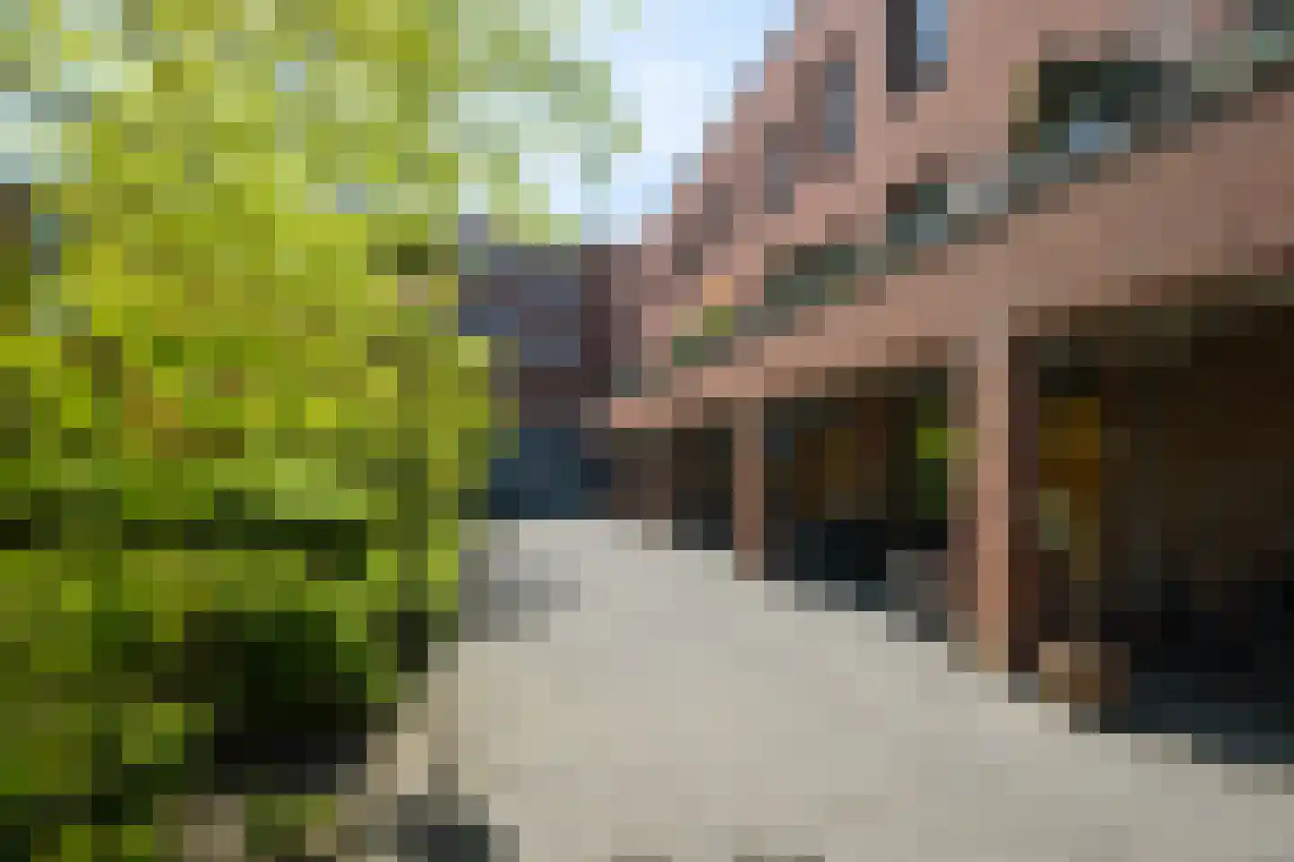 Boeimeerhof 74 Breda thumbnail 7