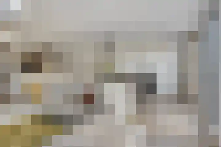 Boeimeerhof 8 Breda thumbnail 10