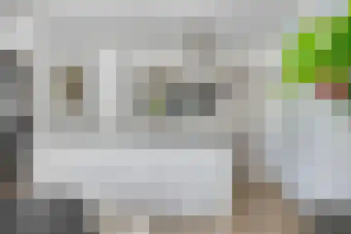Boeimeerhof 8 Breda thumbnail 13
