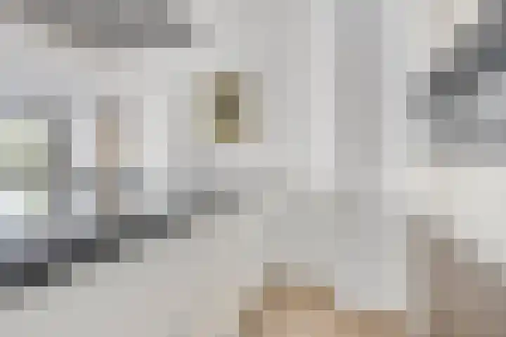 Boeimeerhof 8 Breda thumbnail 15