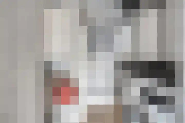 Boeimeerhof 8 Breda thumbnail 21