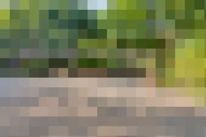 Boeimeerhof 8 Breda thumbnail 25