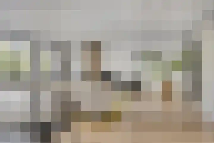 Boeimeerhof 8 Breda thumbnail 9