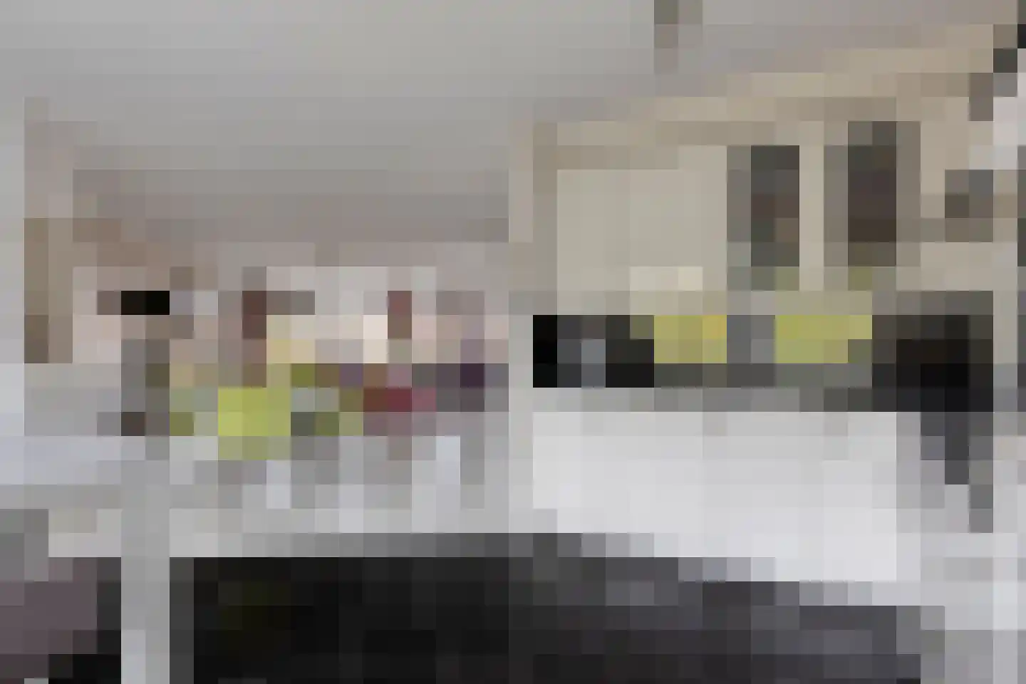 Boeimeerhof 88 Breda thumbnail 16