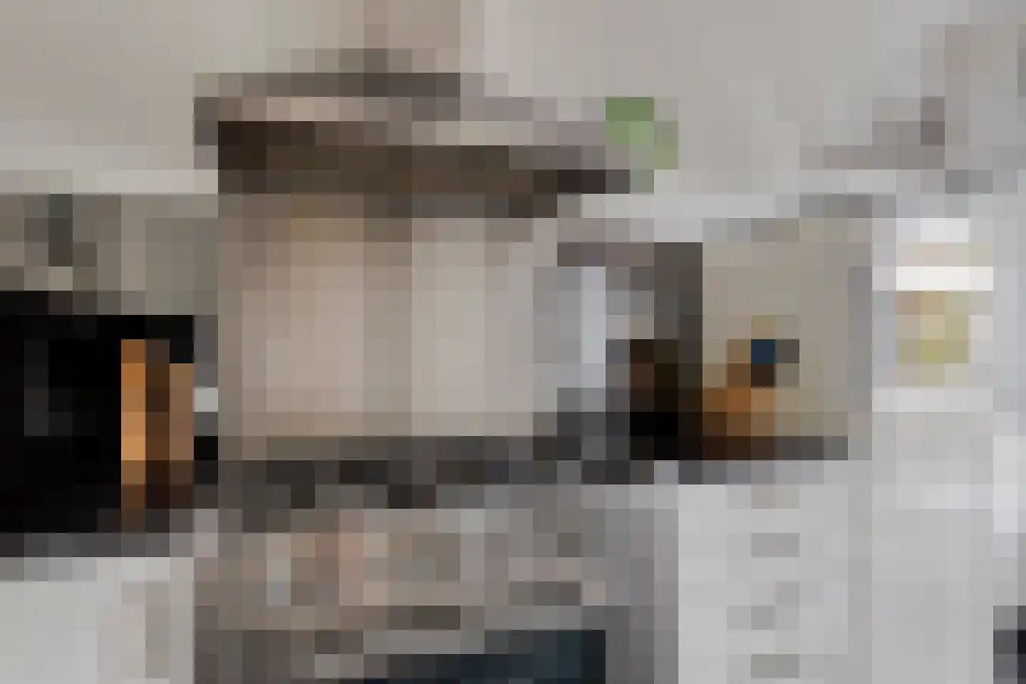 Boeimeerhof 88 Breda thumbnail 17