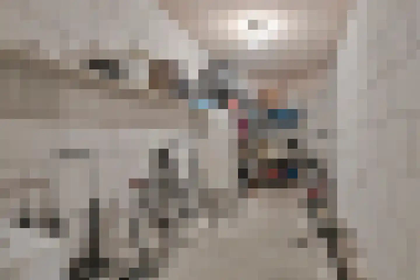 Boeimeerhof 88 Breda thumbnail 35