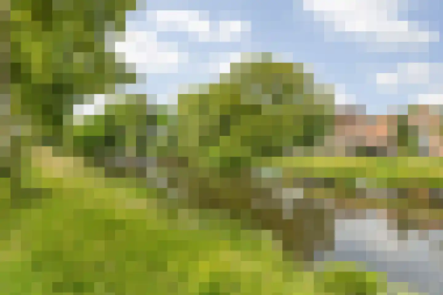 Boeimeerhof 89 Breda thumbnail 32