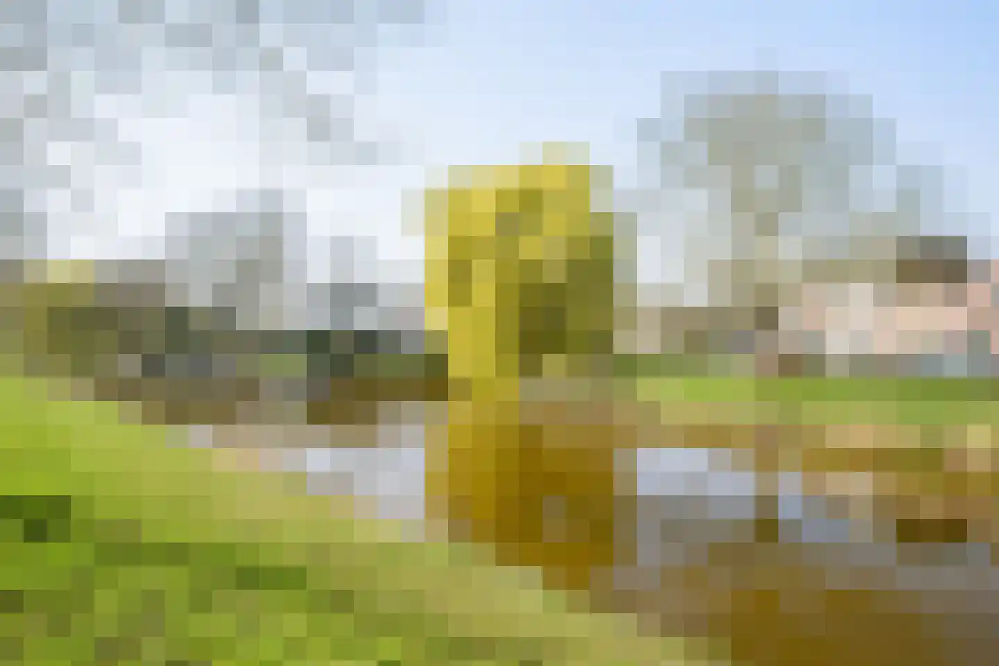 Boeimeerhof 99 Breda thumbnail 44