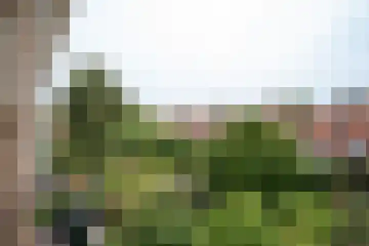 Boeimeerlaan 26 B Breda thumbnail 18