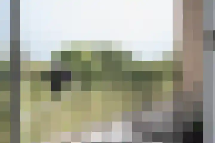 Boeimeerlaan 26 B Breda thumbnail 22