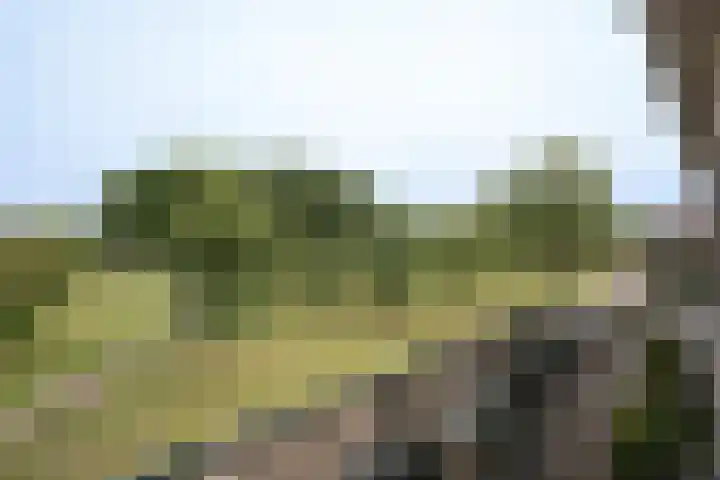 Boeimeerlaan 26 B Breda thumbnail 23