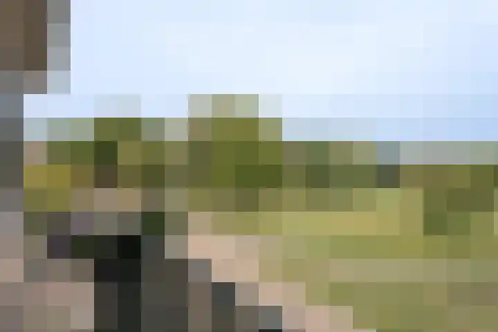 Boeimeerlaan 26 B Breda thumbnail 25