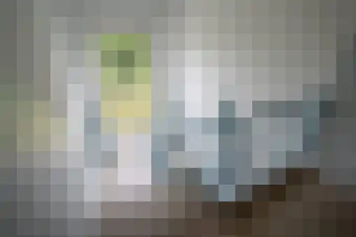 Boeimeerlaan 26 B Breda thumbnail 31