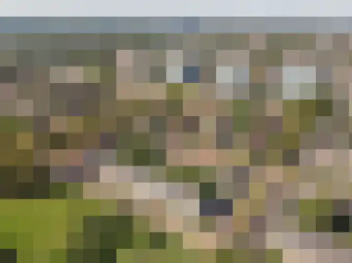 Boeimeerlaan 26 B Breda thumbnail 36