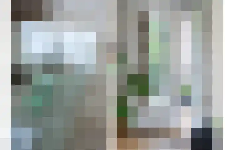 Boeimeerlaan 26 B Breda thumbnail 9
