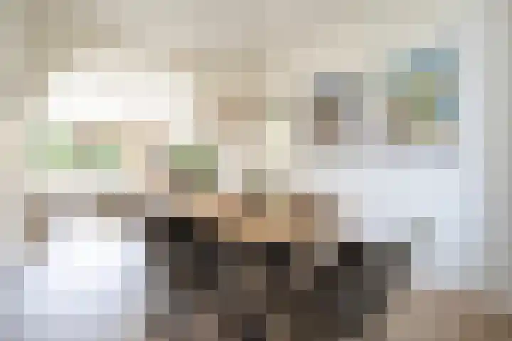 Boeimeerlaan 28 A Breda thumbnail 12