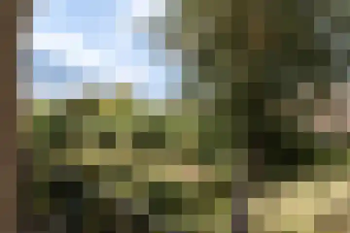 Boeimeerlaan 28 A Breda thumbnail 17