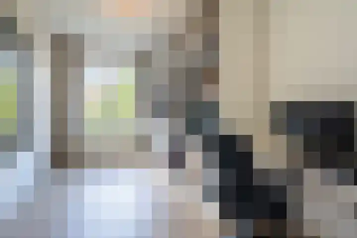 Boeimeerlaan 28 A Breda thumbnail 22