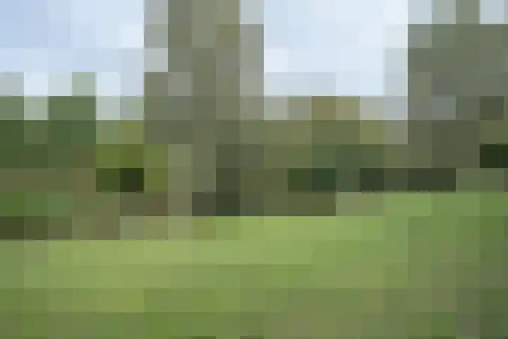 Boeimeerlaan 28 A Breda thumbnail 30
