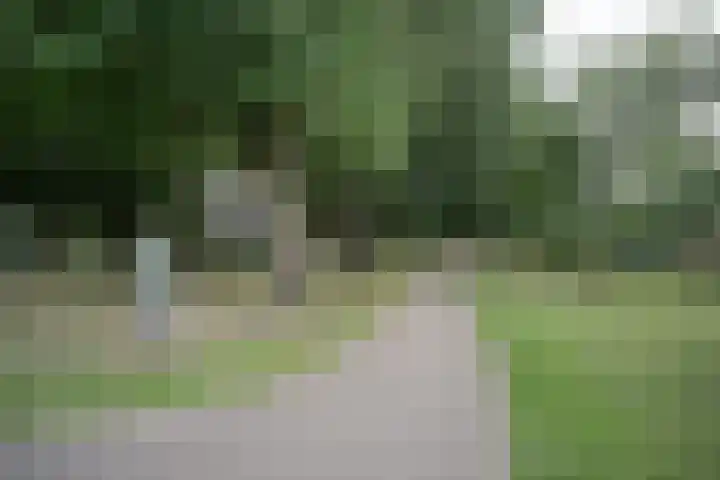 Boeimeerlaan 28 A Breda thumbnail 31