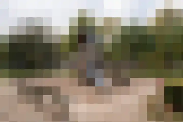 Boeimeerlaan 28 A Breda thumbnail 32
