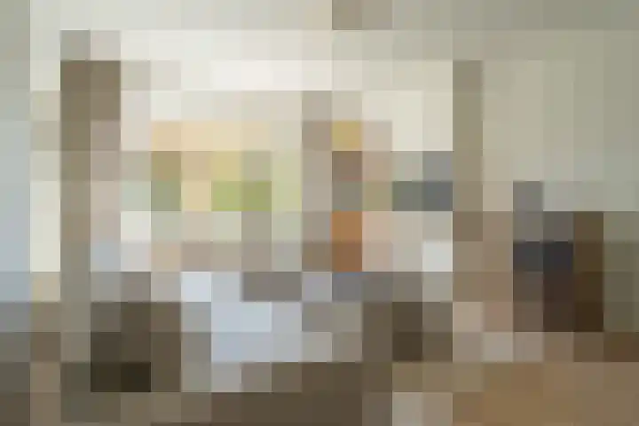 Boeimeerlaan 28 A Breda thumbnail 8
