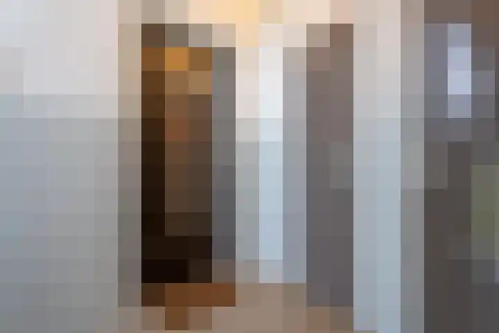 Boeimeerlaan 32 A Breda thumbnail 20