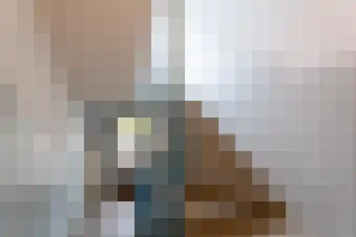 Boeimeerlaan 32 A Breda thumbnail 21