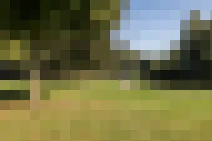 Boeimeerlaan 32 A Breda thumbnail 27