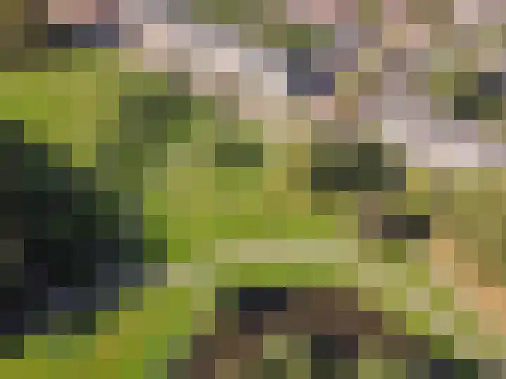 Boeimeerlaan 32 A Breda thumbnail 30