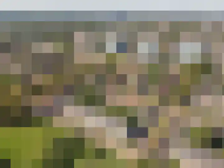 Boeimeerlaan 32 A Breda thumbnail 31