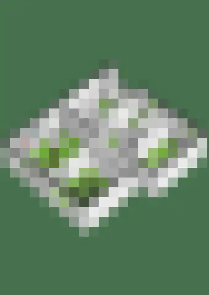 Boeimeerlaan 32 A Breda thumbnail 33