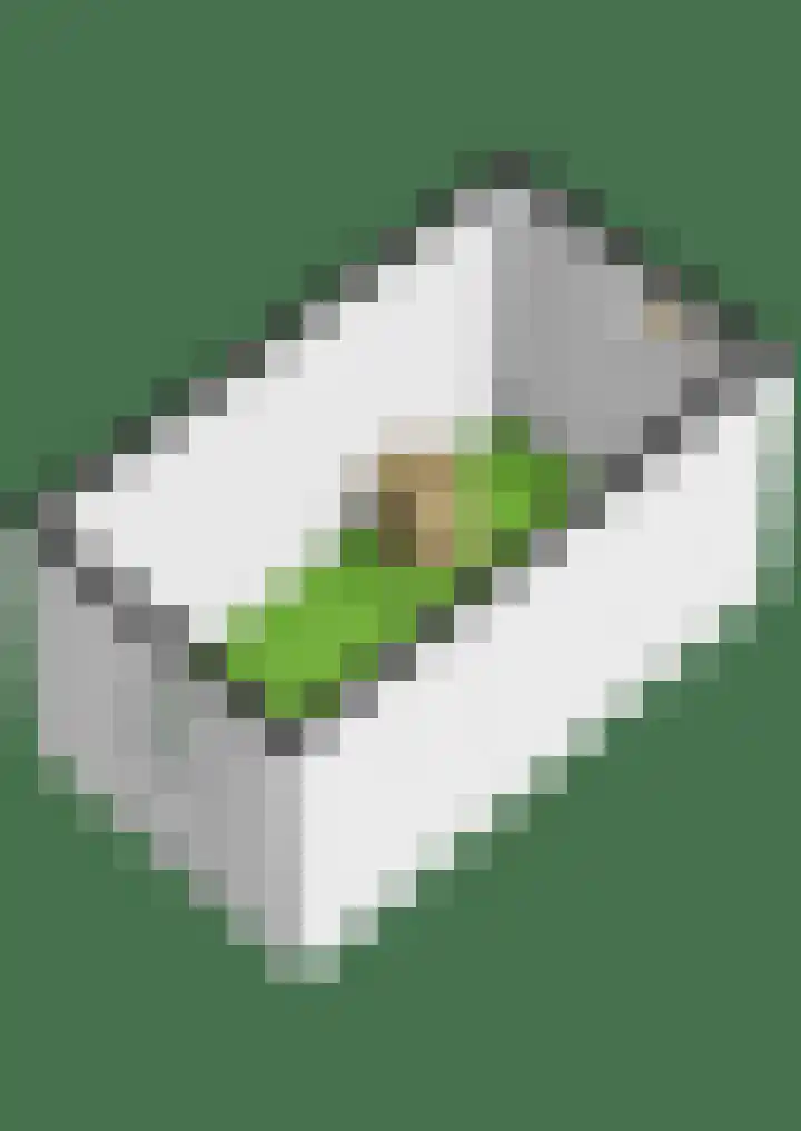 Boeimeerlaan 32 A Breda thumbnail 35