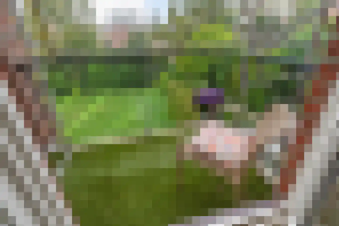 Boeimeerlaan 60 A Breda thumbnail 30