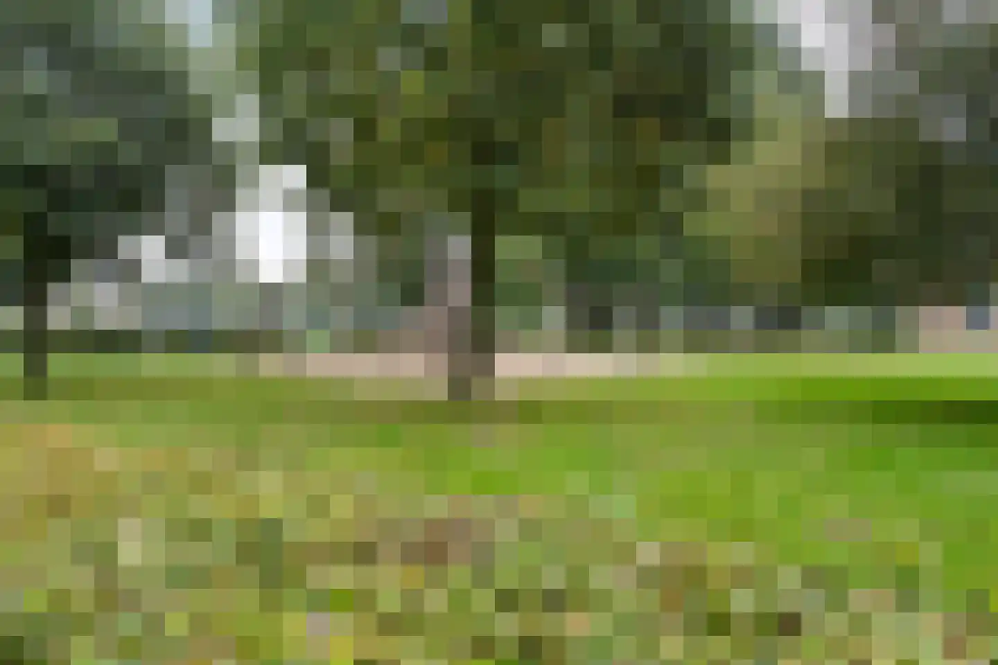 Boeimeerlaan 60 A Breda thumbnail 46