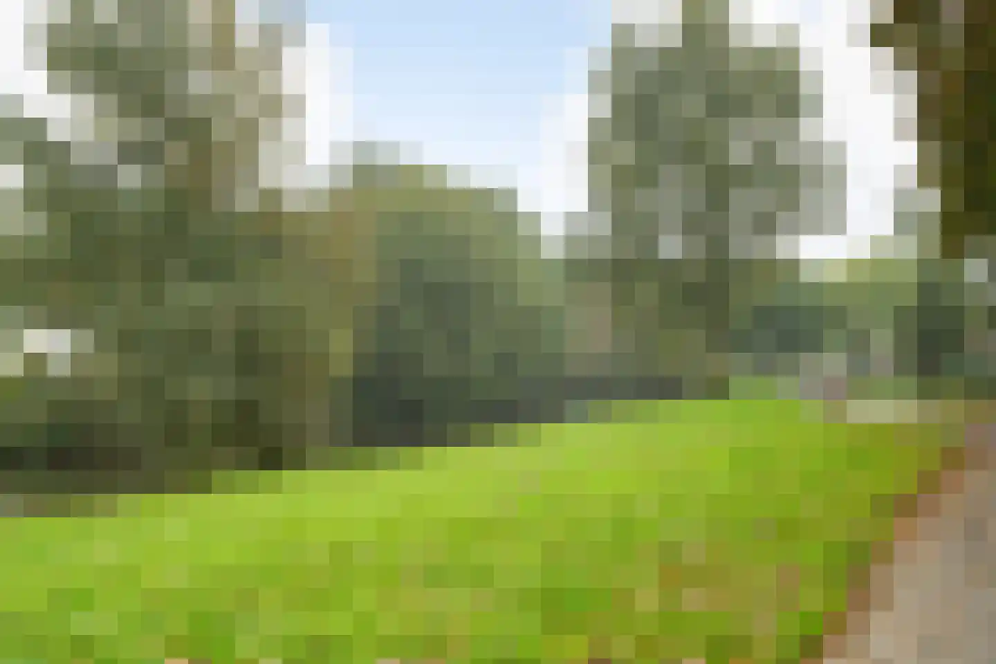 Boeimeerlaan 60 A Breda thumbnail 47